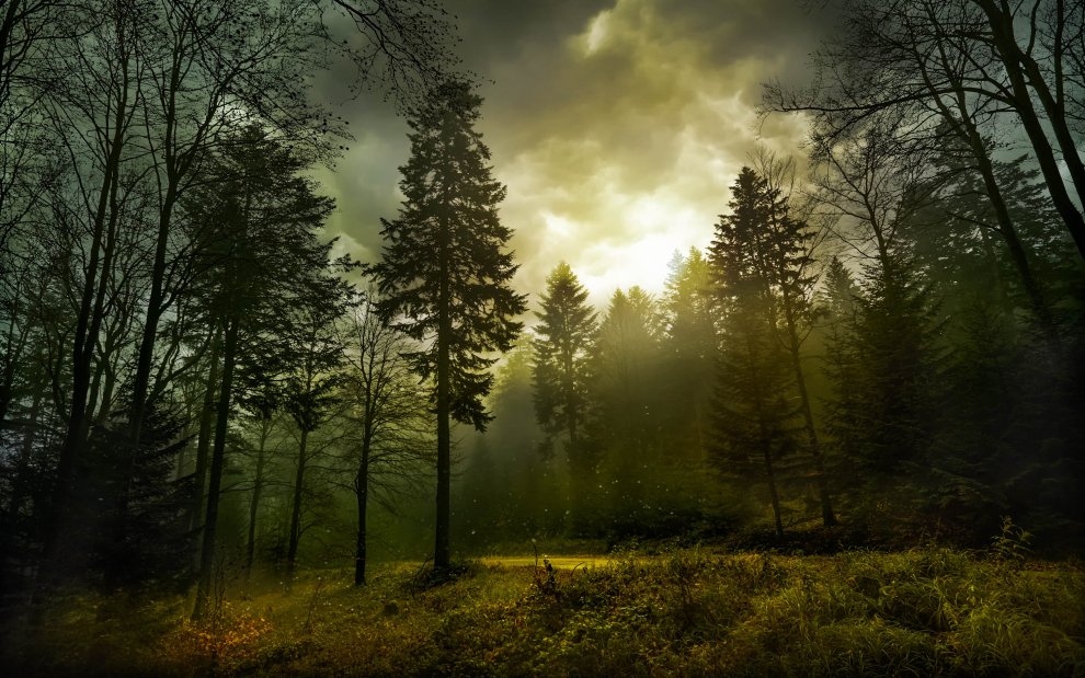 Les Bor: Co když nejstrašidelnější místo v Česku leží hned vedle vašeho sídliště?